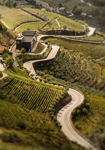 Screenshot 2025-12-16 at 11-08-05 as Vinhas Alves de Sousa